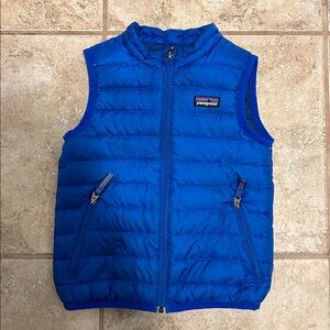 Patagonia 3T down vest